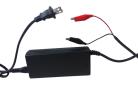 Battery Charger for Lithium Iron battery